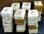 cocainpackages