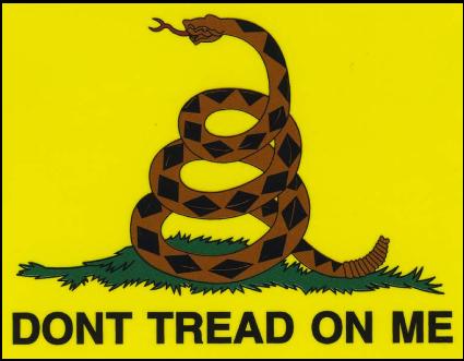 SnakeDecal