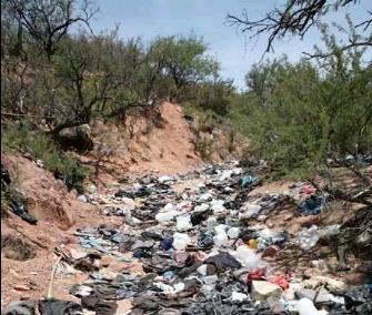 TrashTrail5